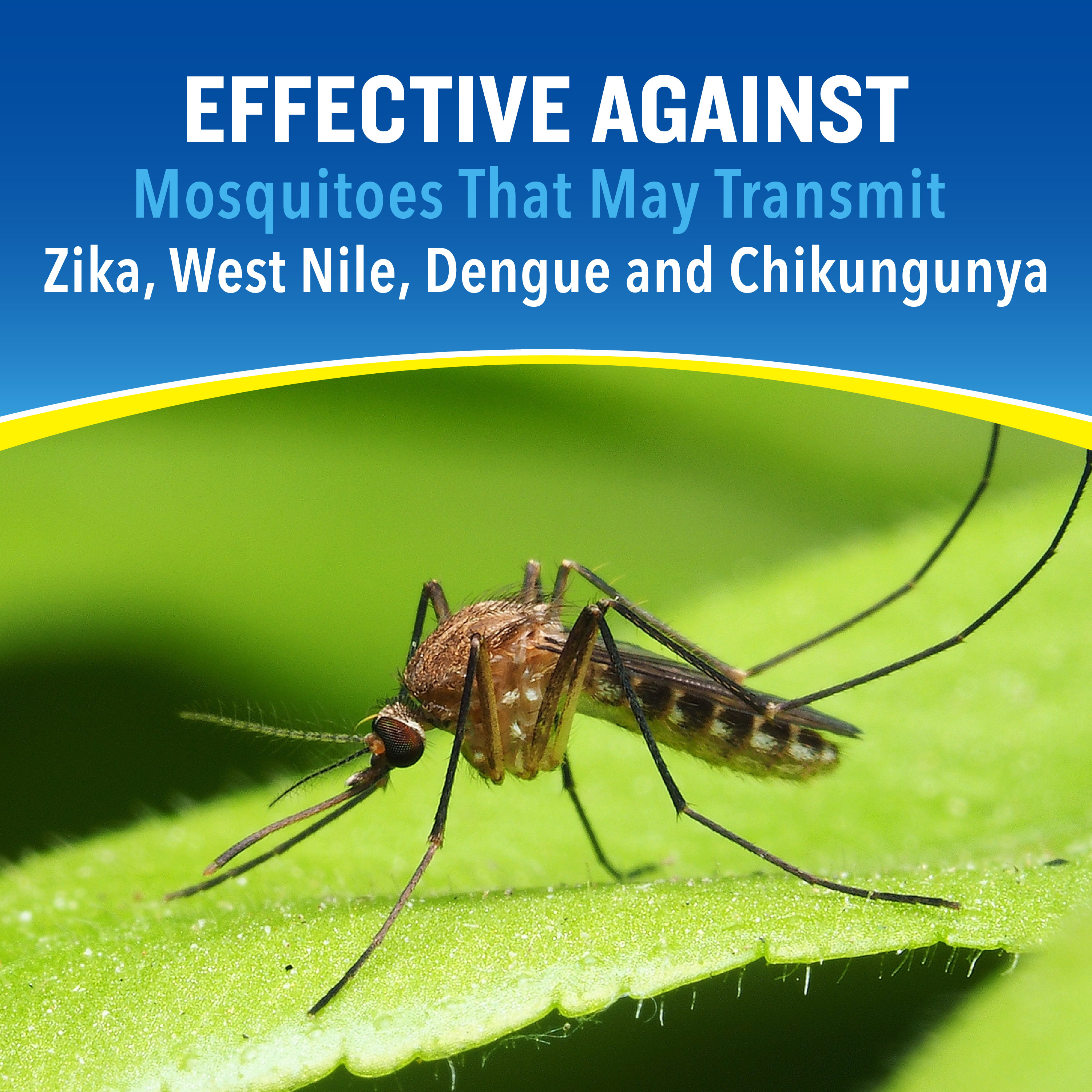 HG-95838 All Family Wipes 15ct Effective Against Mosquitoes that may transmit Zika
